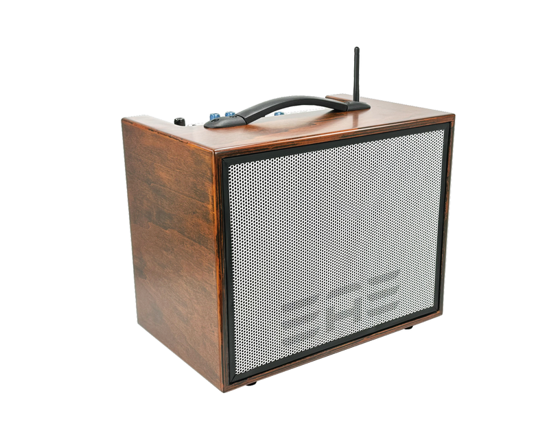 Elite Acoustics "EAE" A4-58 120 Watt Acoustic Guitar/4 Chan Amplifier with LFP Battery and Bluetooth